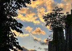 2025上半年，中國(guó)企業(yè)出海刷新全球副本：更猛、更強(qiáng)、更聰明